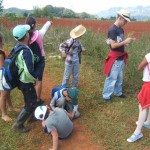 2013 03 09 Recorrido por el valle VIÑALES CUBA ValV (5)