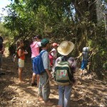 2013 03 09 Recorrido por el valle VIÑALES CUBA ValV (7)