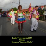 20140501 Desfile 1 de Mayo VIÑALES(5)