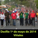 20140501 Desfile 1 de Mayo VIÑALES(8)
