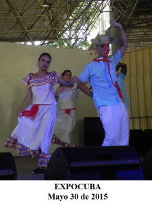 20150530 Presentacion ValV EXPOCUBA Pinar del Rio(5)