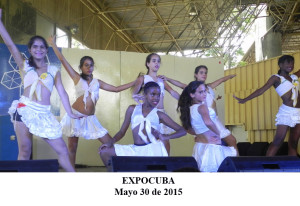 20150530 Presentacion ValV EXPOCUBA Pinar del Rio(7)