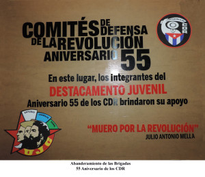 20150623 Abanderamiento Desto. Juvenil 55 Aniversario de los CDR(2)